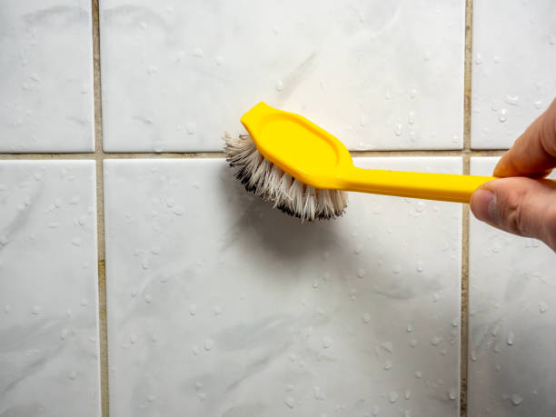 Best Mold Removal Near Me  in Cherry Valley, CA