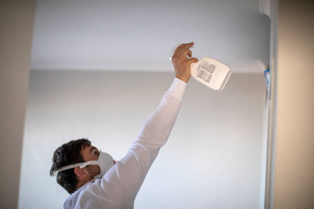 Best Fast Mold Removal  in Cherry Valley, CA