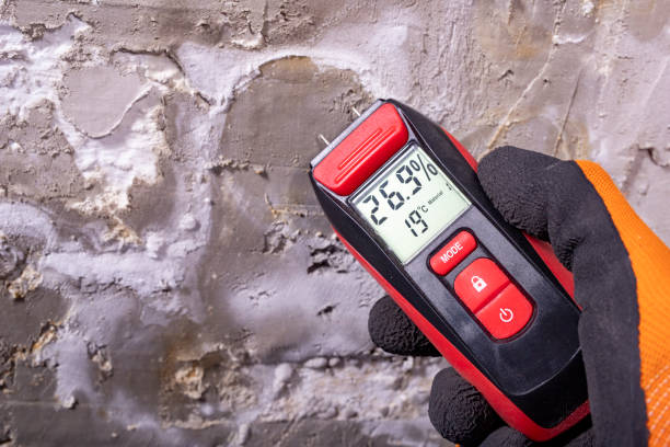 Best Mold Cleaning Services  in Cherry Valley, CA