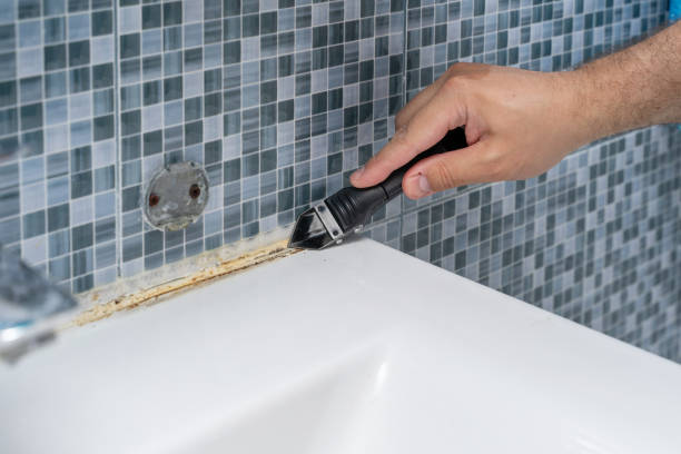 Best Mold Remediation  in Cherry Valley, CA